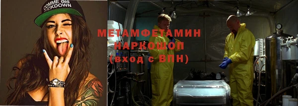 крисы Каменногорск