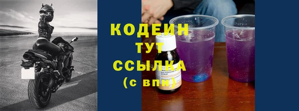 крисы Каменногорск