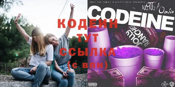 крисы Каменногорск