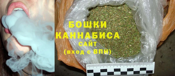 крисы Каменногорск