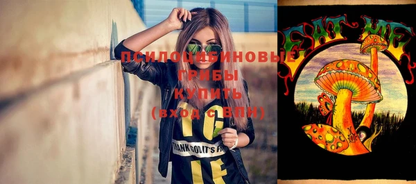 крисы Каменногорск
