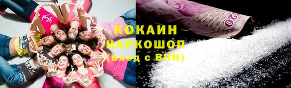 крисы Каменногорск