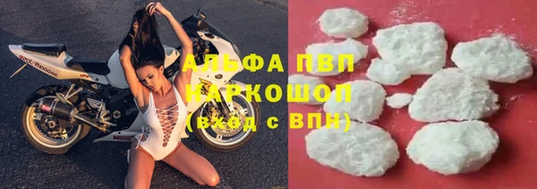 крисы Каменногорск