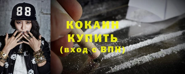 крисы Каменногорск